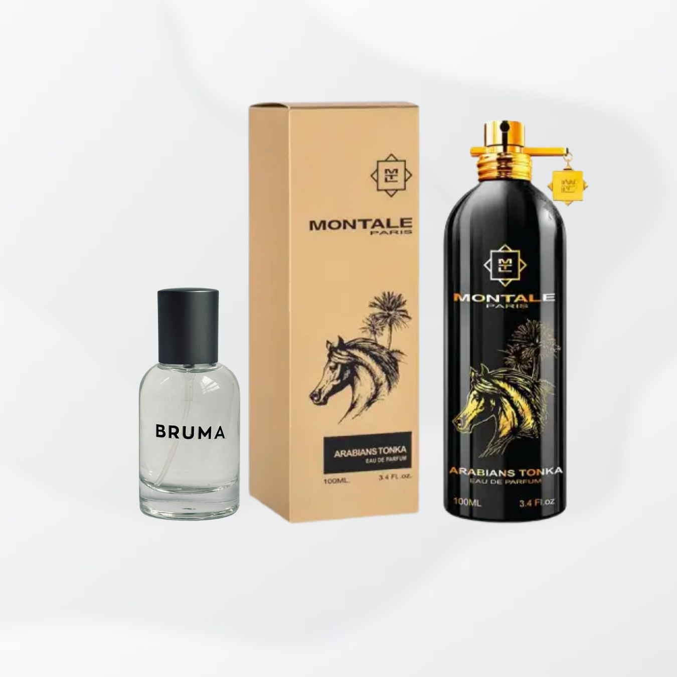 B79 - Insp. en Arabians Tonka de Montale