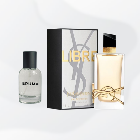 B84 - Insp. en Libre de YSL